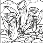 coloriage Nepenthes pour enfant à imprimer