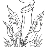 coloriage Nepenthes à imprimer pour enfant de 2 ans