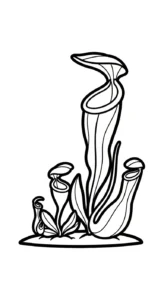 coloriage Nepenthes à imprimer pour enfant de 9 ans