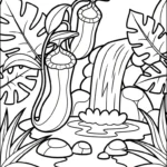 coloriage Nepenthes et decoupage