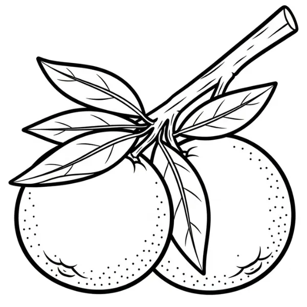 Tranh tô màu Orange