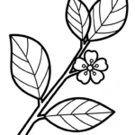 coloriage Orange et decoupage a imprimer gratuit