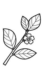 coloriage Orange et decoupage a imprimer gratuit