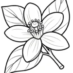 coloriage Orange pour bebe a imprimer