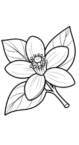 coloriage Orange pour bebe a imprimer