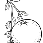 coloriage Orange pour enfant de 2 ans