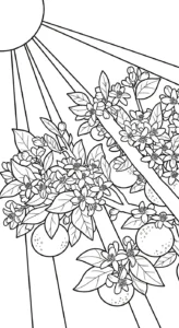 coloriage Orange à imprimer pour enfant de 6 ans