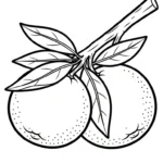 coloriage Orange à imprimer gratuitement pdf