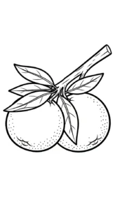 coloriage Orange à imprimer gratuitement pdf