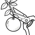 télécharger coloriage Orange gratuit