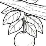 coloriage Orange à imprimer pour enfants
