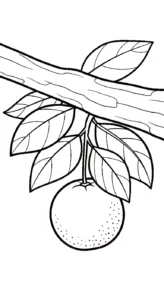 coloriage Orange à imprimer pour enfants