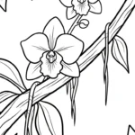coloriage Orchidée pour enfants à télécharger
