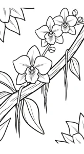 coloriage Orchidée pour enfants à télécharger