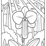 coloriage Orchidée à imprimer pdf gratuit