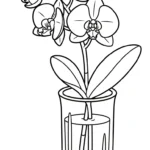coloriage Orchidée a telecharger