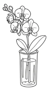 coloriage Orchidée a telecharger