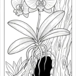 coloriage Orchidée pour enfant de 8 ans