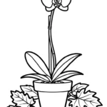 coloriage Orchidée pour enfant de 3 ans