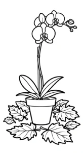 coloriage Orchidée pour enfant de 3 ans