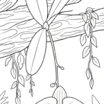 coloriage Orchidée a dessiner et imprimer