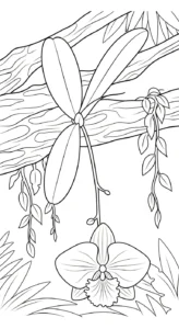 coloriage Orchidée a dessiner et imprimer