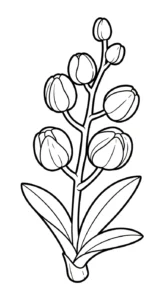 coloriage Orchidée a colorier en ligne