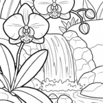 coloriage Orchidée gratuit a imprimer