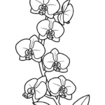 coloriage Orchidée à imprimer pour enfant de 8 ans