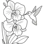 coloriage Orchidée pour enfant de 5 ans