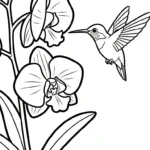 coloriage Orchidée pour enfant de à imprimer
