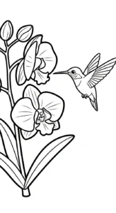 coloriage Orchidée pour enfant de à imprimer