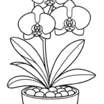coloriage Orchidée à imprimer kawaii