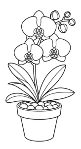 coloriage Orchidée à imprimer kawaii
