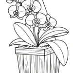 coloriage Orchidée pour enfant de 8 ans