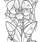 coloriage Orchidée à imprimer pour enfant de 10 ans