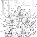 coloriage Orchidée en ligne pour enfant