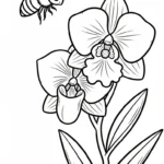 coloriage Orchidée et decoupage