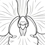 coloriage Orchidée à imprimer pdf