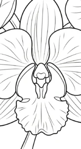 coloriage Orchidée à imprimer pdf