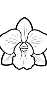 coloriage Orchidée en ligne