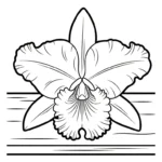 coloriage Orchidée de pour enfants