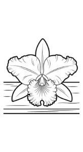 coloriage Orchidée de pour enfants