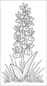 coloriage Orchidée à imprimer pdf gratuit