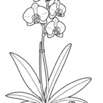 coloriage Orchidée à imprimer pour enfant de 10 ans