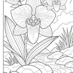 coloriage Orchidée a imprimer gratuitement