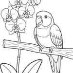 coloriage Orchidée pour primaire