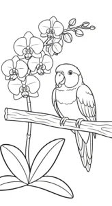 coloriage Orchidée pour primaire
