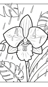 coloriage Orchidée pour enfants