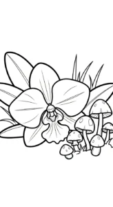 coloriage Orchidée pour enfant de 7 ans